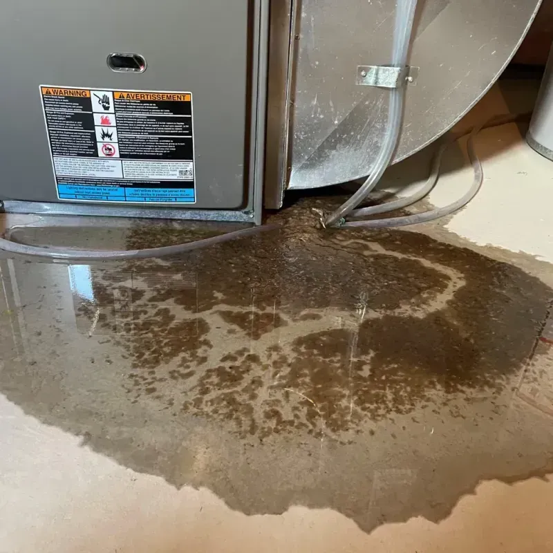 Appliance Leak Cleanup in Mount Morris, IL